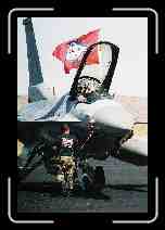 F-16 Arkansas 11_F1060027 * 1232 x 1840 * (406KB)